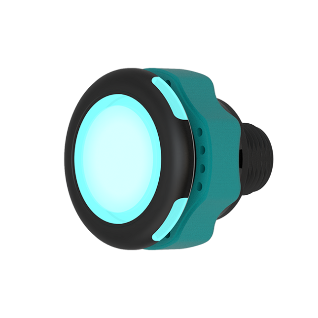 CANEO series10 Signal Standard